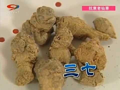 老中医说三七的功效 你不能错过!不忽悠